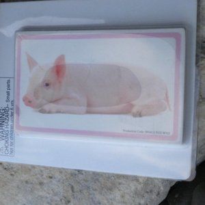 Jumbo Pig Eraser